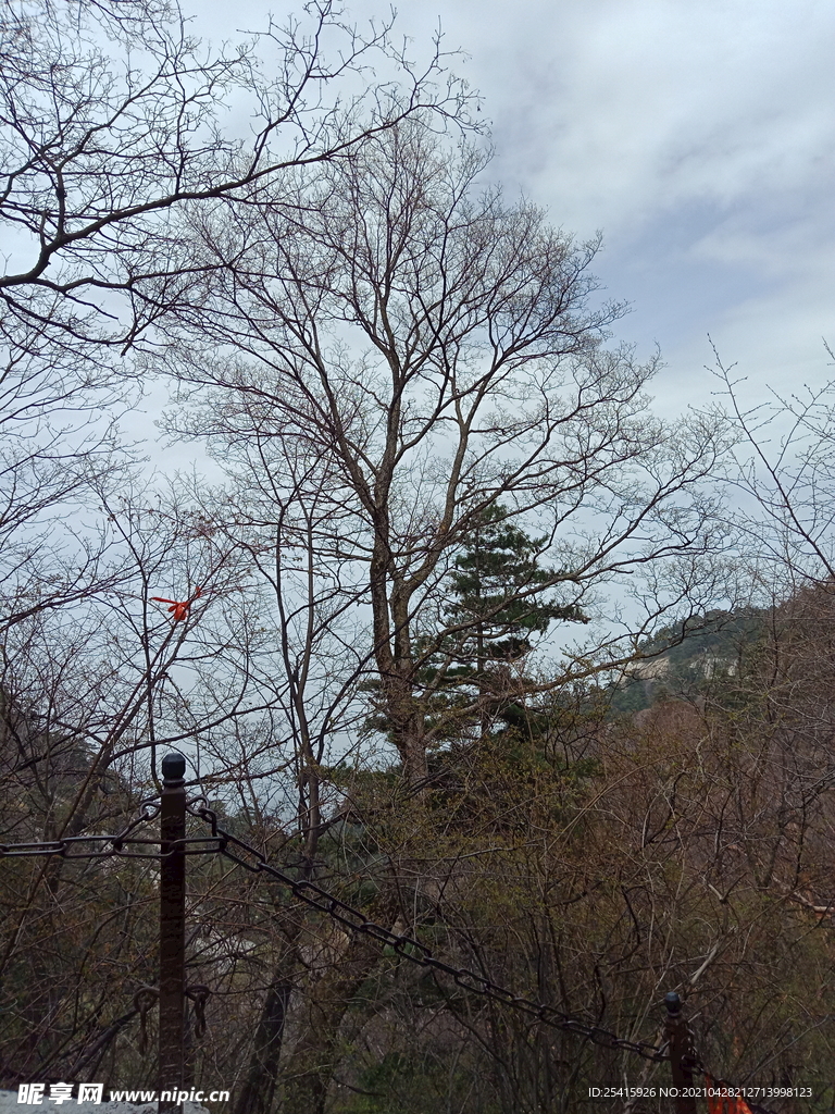 华山