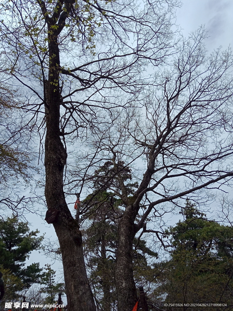 华山