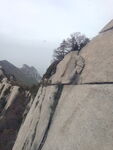 华山