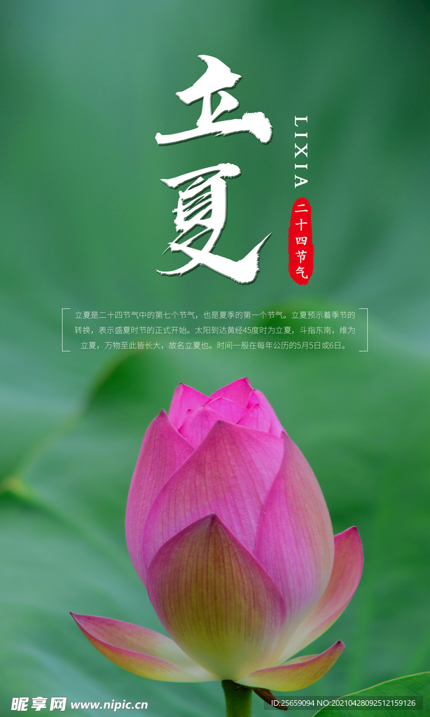 立夏