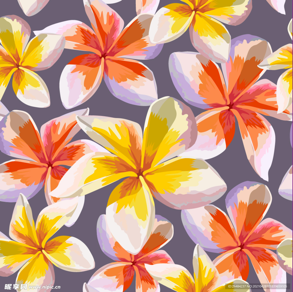 鸡蛋花