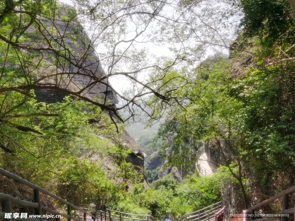 霍山森林公园