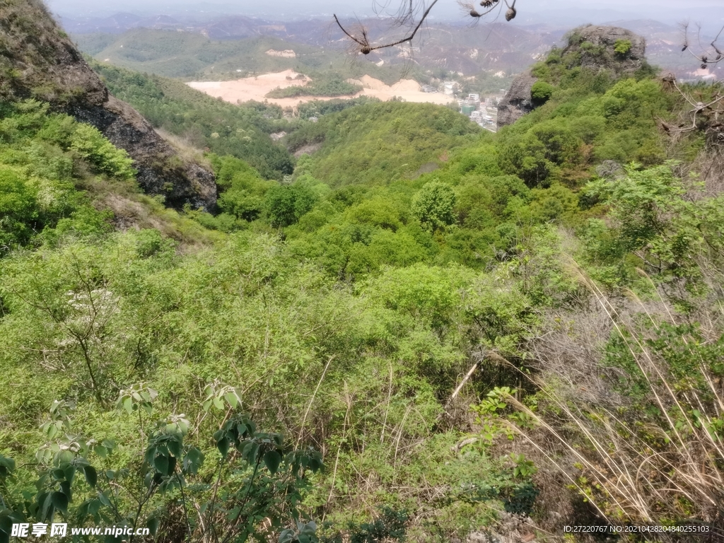 霍山 森林风光