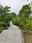 登山绿道