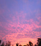 夕阳