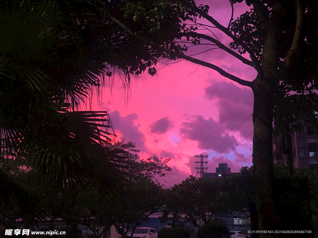 夕阳