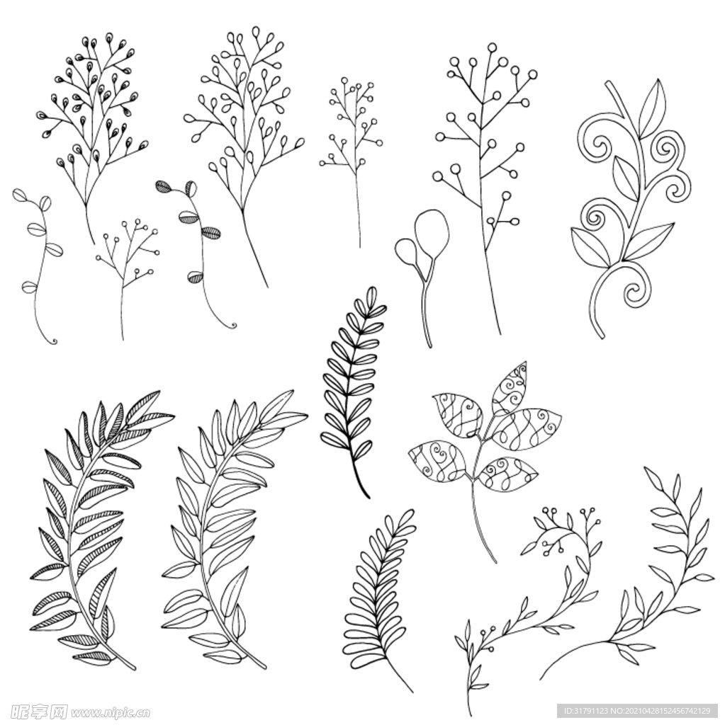 植物图案