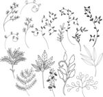 植物图案