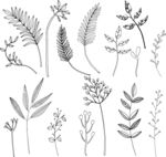 植物图案