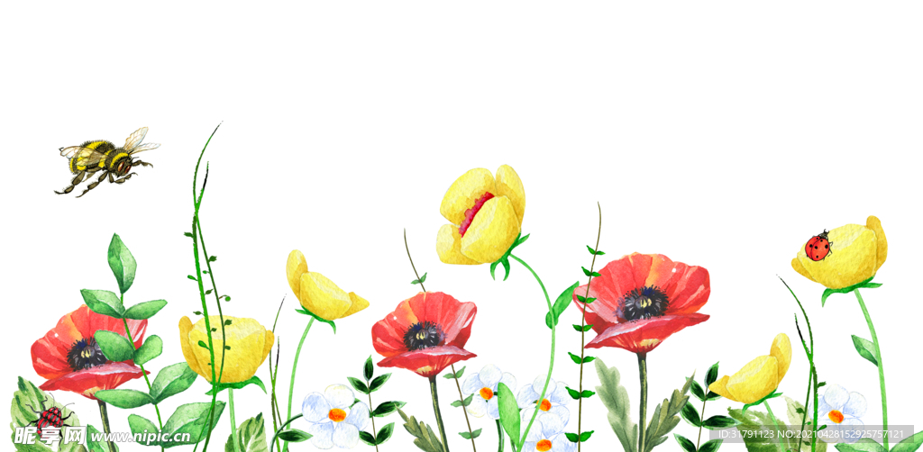 手绘花卉