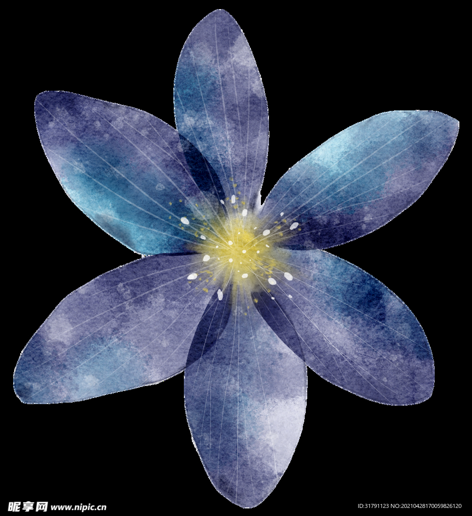 手绘花卉