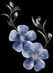 水彩花卉