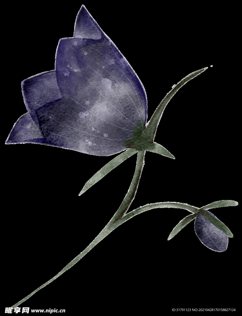 水彩花卉