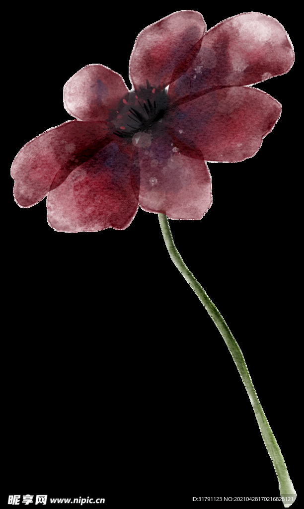 水彩花卉
