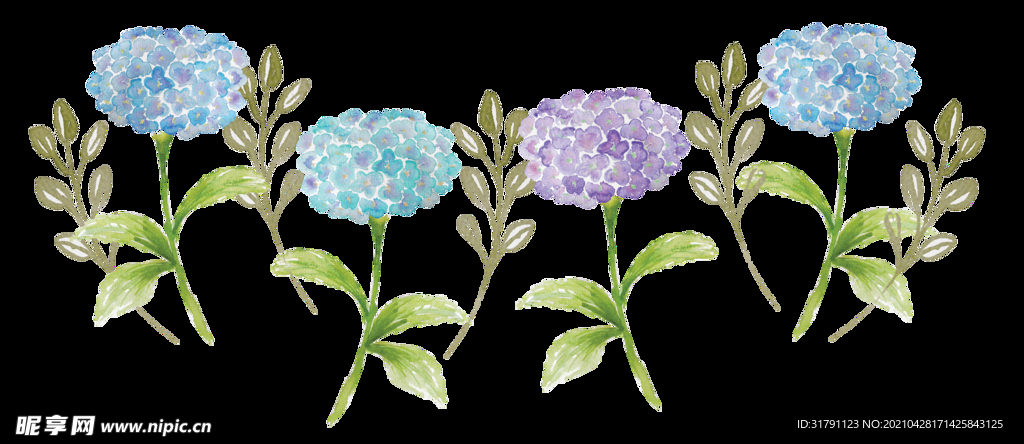 手绘花卉