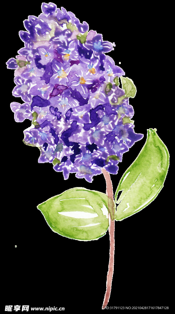 手绘花卉
