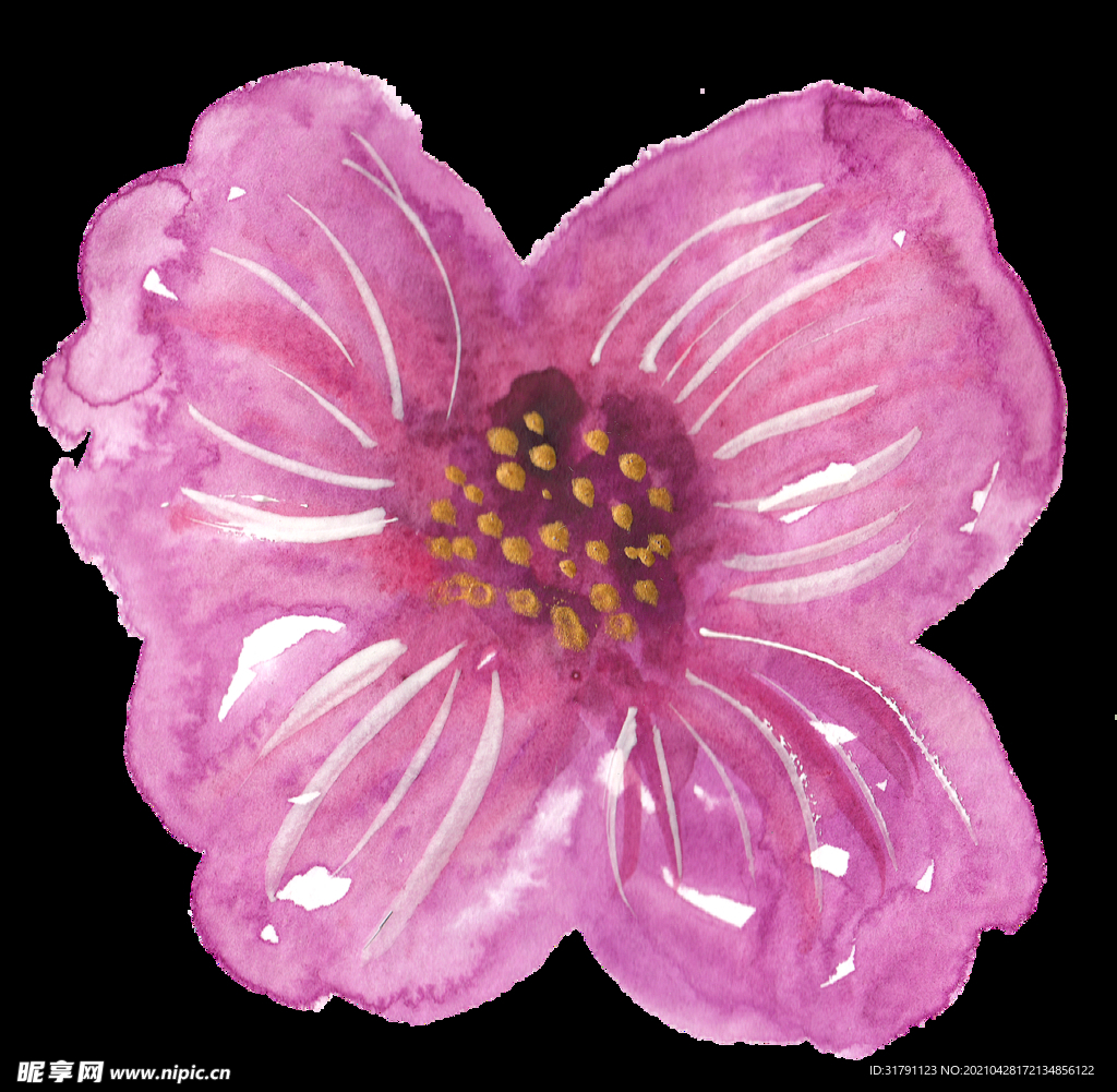手绘花卉