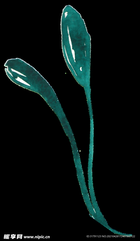 水彩植物