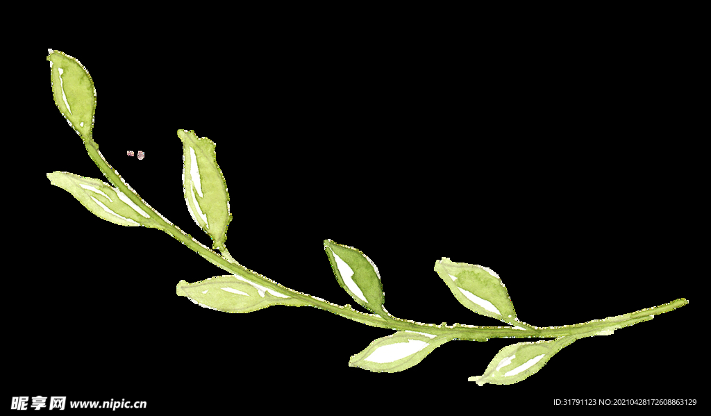手绘植物