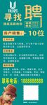 招聘展架