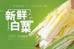新鲜白菜