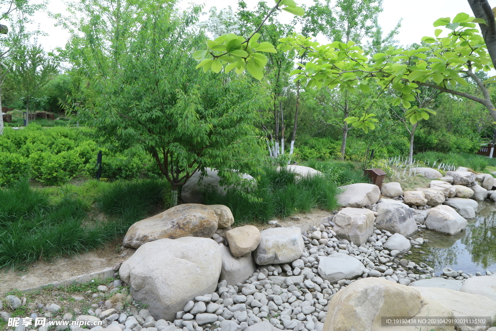 园林风景