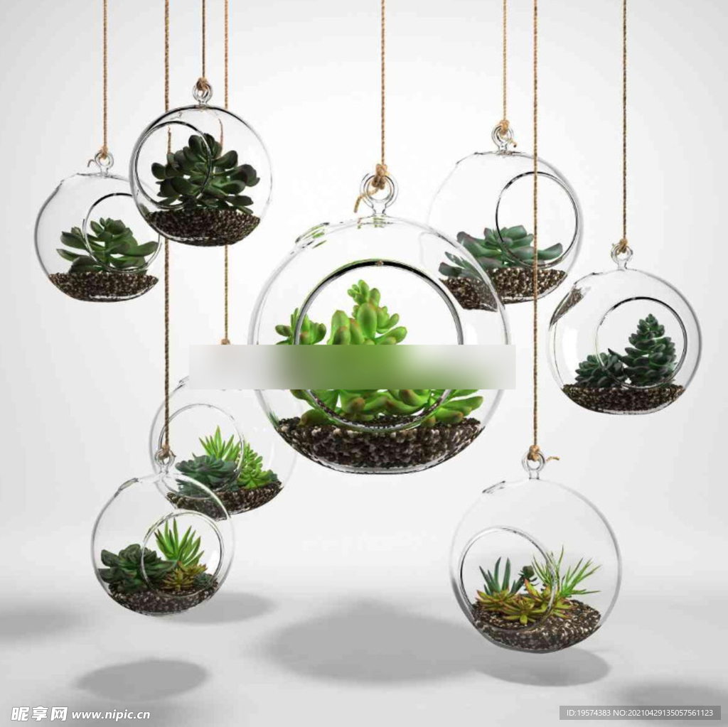  3DMAX多肉植物玻璃吊篮 