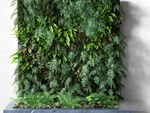  3DMAX现代绿植背景墙