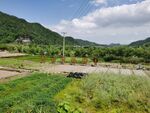 田园风光