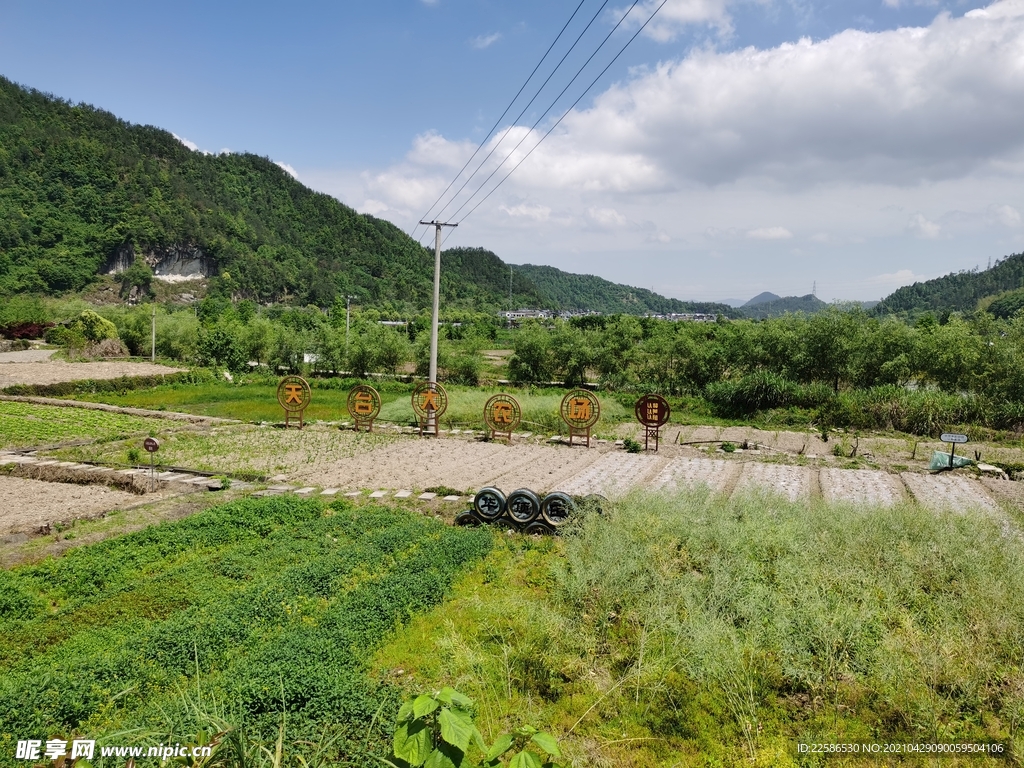 田园风光