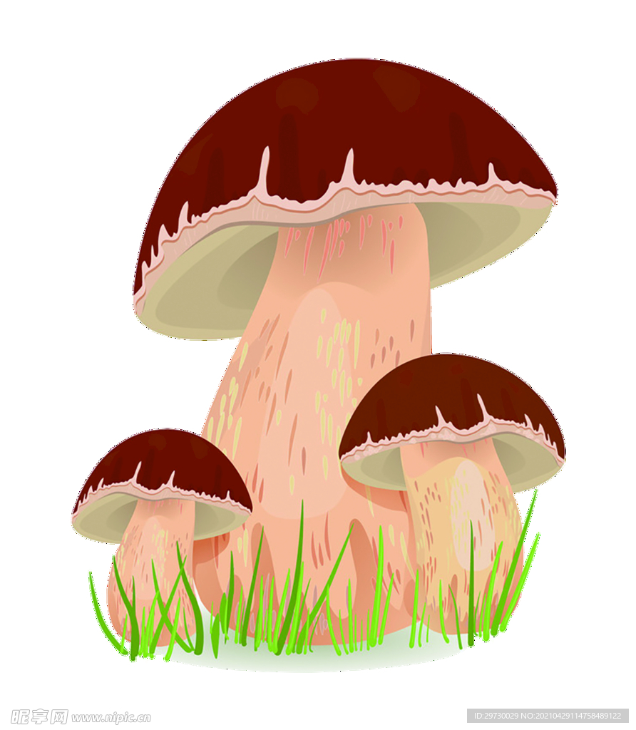 蘑菇卡通图