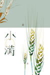 小麦