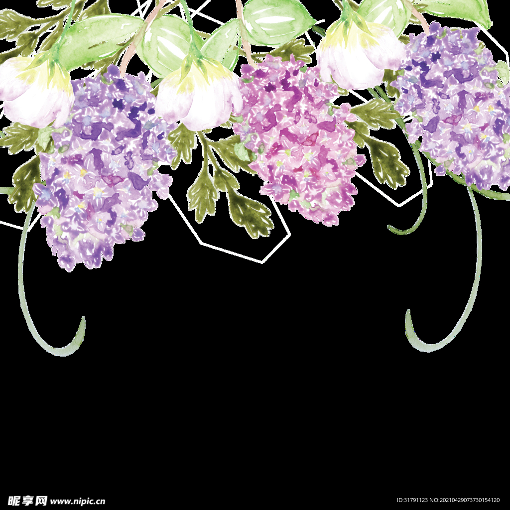 手绘花卉