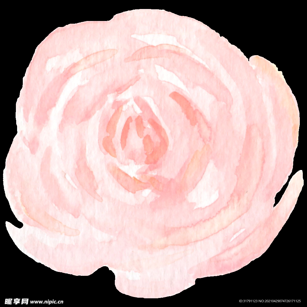 水彩花卉