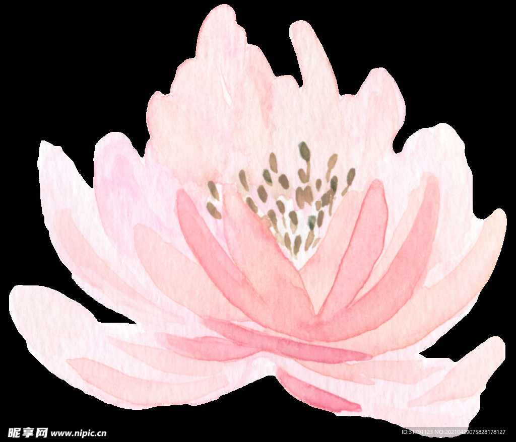 水彩花卉