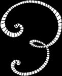 秘密花园