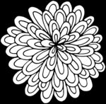 秘密花园