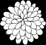 秘密花园