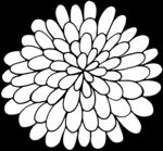 秘密花园