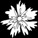 秘密花园