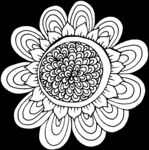 秘密花园