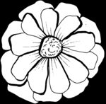 秘密花园