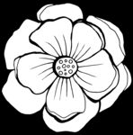秘密花园