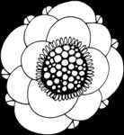 秘密花园