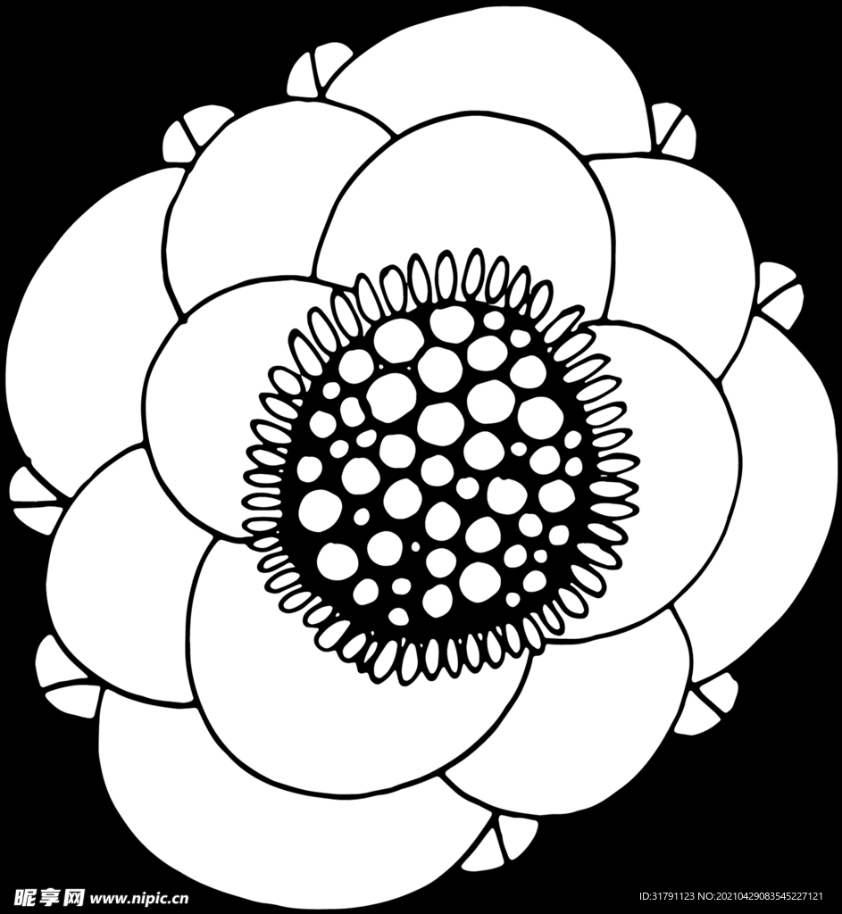 秘密花园