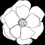 秘密花园