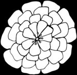 秘密花园