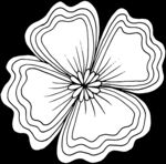 秘密花园