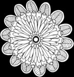 秘密花园
