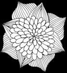秘密花园